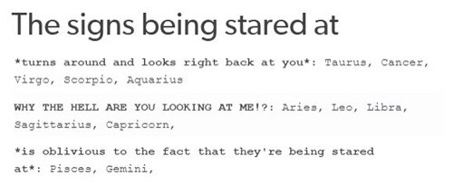 🔮 MORE Fun Horoscopes 🔮
