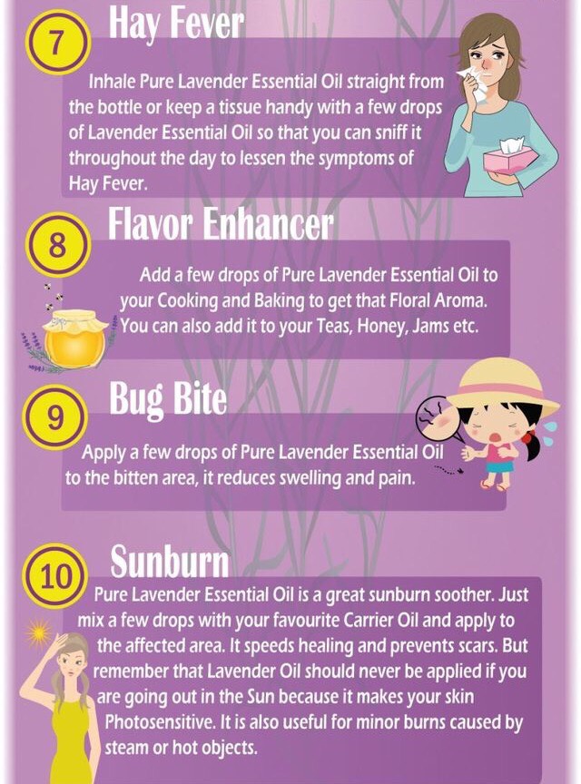 12 Amazing Uses For Lavender Essential Oil 💜
