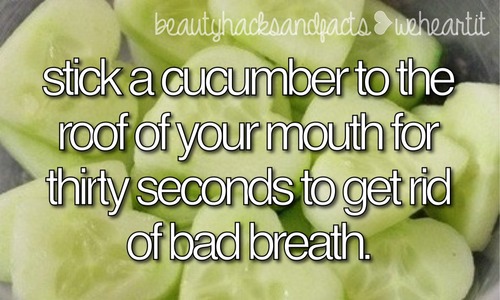 Life Hacks And Fact