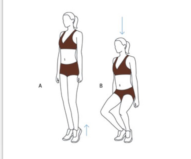 First position plié Squat 