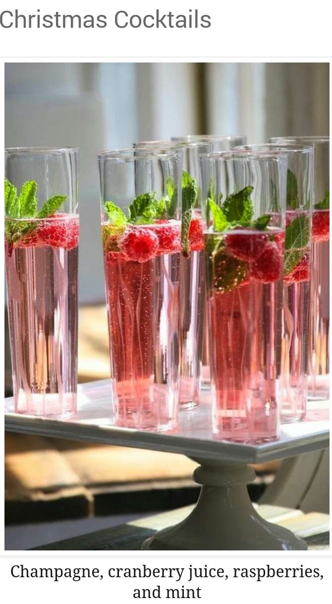 CRANBERRY MARGARITA¤