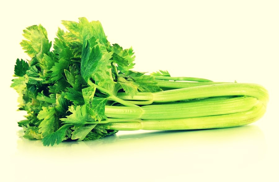 Celery 💋