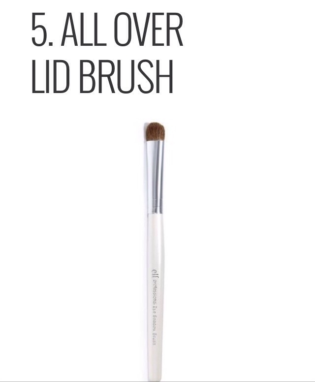 💥✨ Must-Have Makeup Brushes For Beginners!! ✨💥