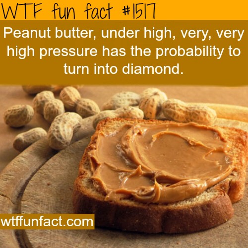 Fun Food Facts. 😊
