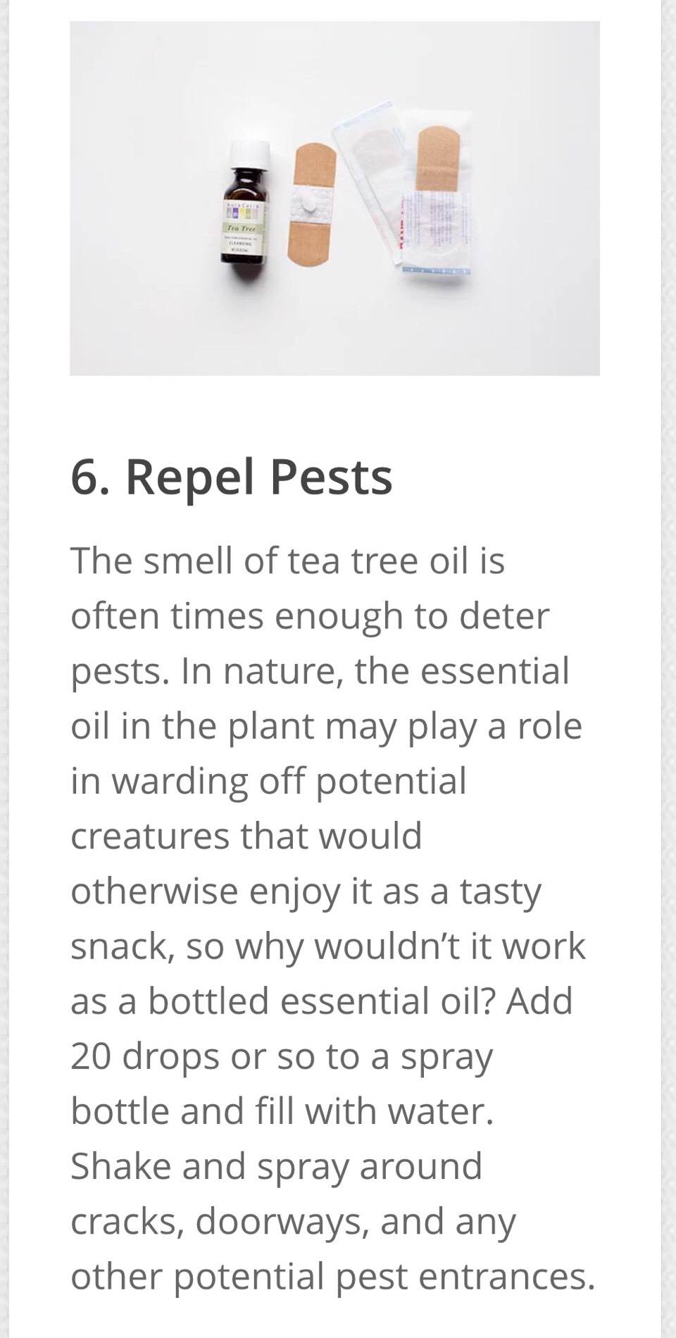 25 Everyday Uses For Tea Tree Oil