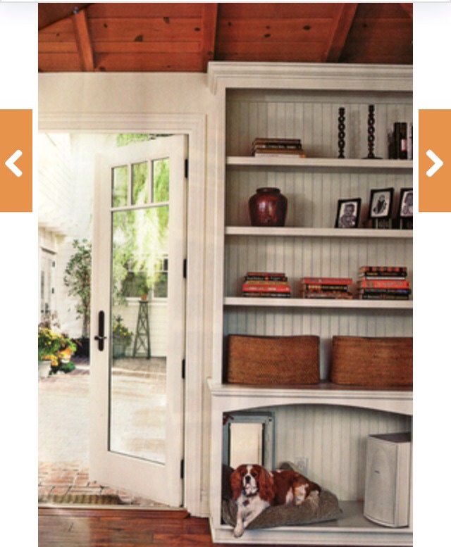 🌟 Creative Dog Bed Ideas You And Furry Friend Wld Love! 🌟