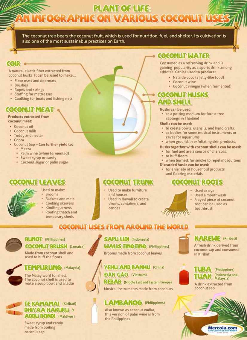 Health Benefits Of Coconut Oil
