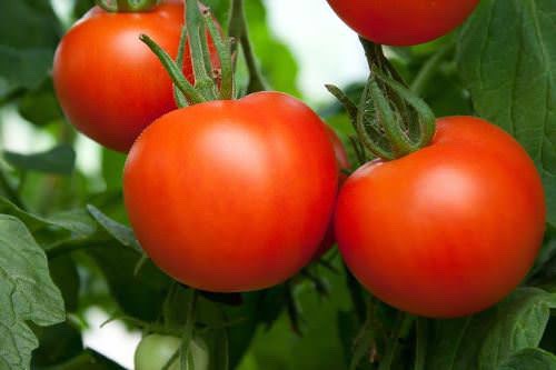 10 Wonderful Foods That Will Give You Great Skin