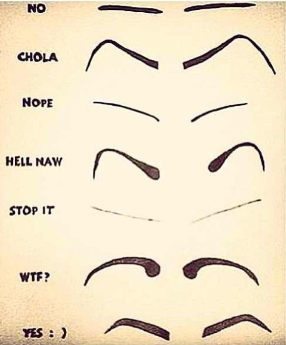 ✨Ultimate Eyebrow Guide✨#tipit