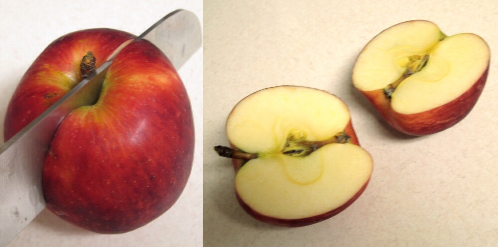 Slice an apple in half and then dip in paint