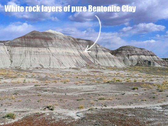 Bentonite usually forms from the weathering of volcanic ash, most often in the presence of water. Bentonite Clay has been used for centuries around the world to promote better health, and has gained popularity recently as a trusted detoxifying agent.