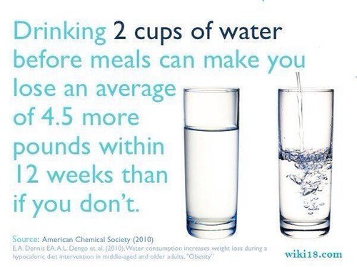 Drinking Water Before Meals Leads To Weight Loss! 