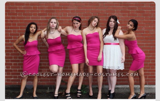 Bridesmaids from the movie Bridesmaids!