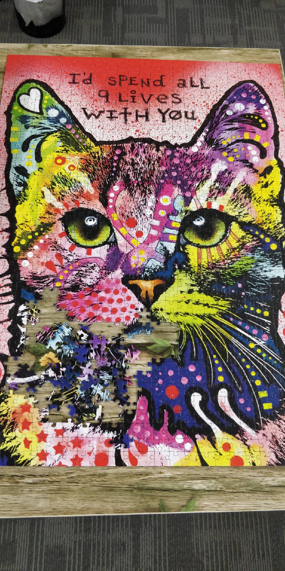 cats 9