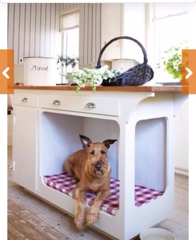 🌟 Creative Dog Bed Ideas You And Furry Friend Wld Love! 🌟