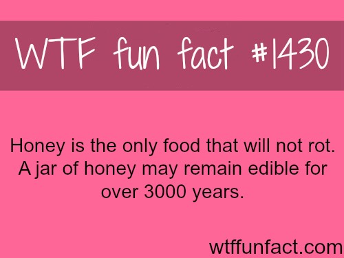 Fun Food Facts. 😊