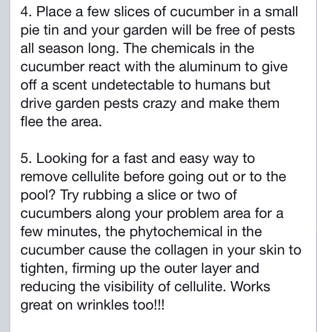 Cucumber Tips An Tricks ✨✨👌✨