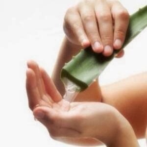 Aloevera: Aloevera gel is one of the best natural way to restore the  original color of lips. Apply aloevera gel over the lips and scrub it.