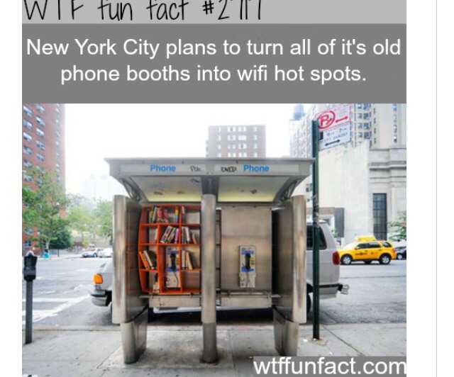 Fun Crazy Facts