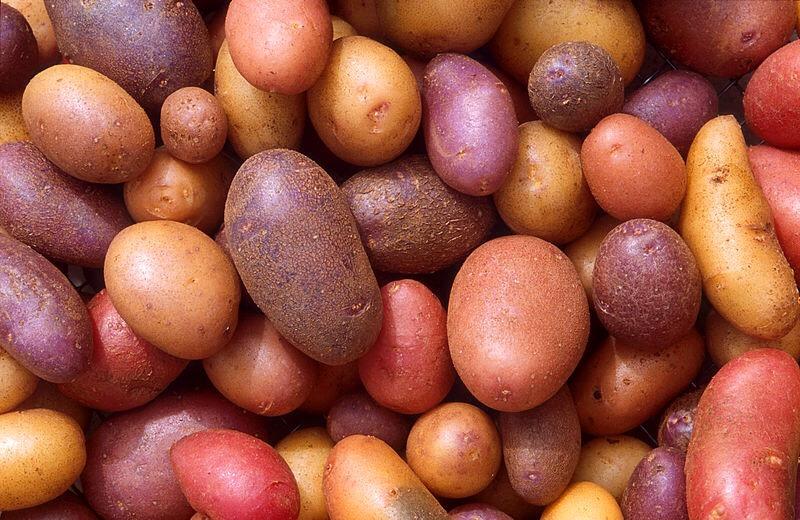 Top 5 Foods For Weight Gain How Does Your Diet Stack Up