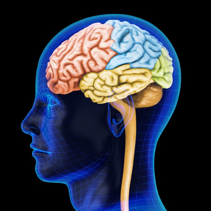 2) Dark Chocolate is Good for Your Brain

Dark chocolate increases blood flow to the brain as well as to the heart, so it can help improve cognitive function. Dark chocolate also helps reduce your risk of stroke. 
