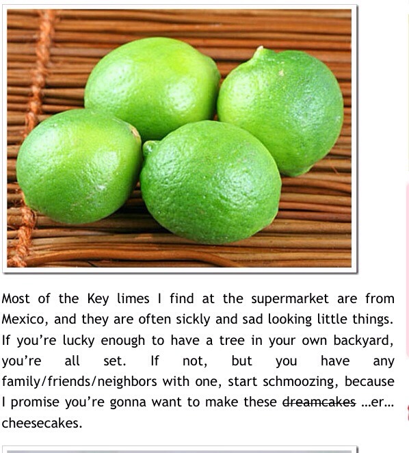 Keylime Cheesecake Minis With Macadamia Graham Cracker Crusts๐๐๐๐๐๐