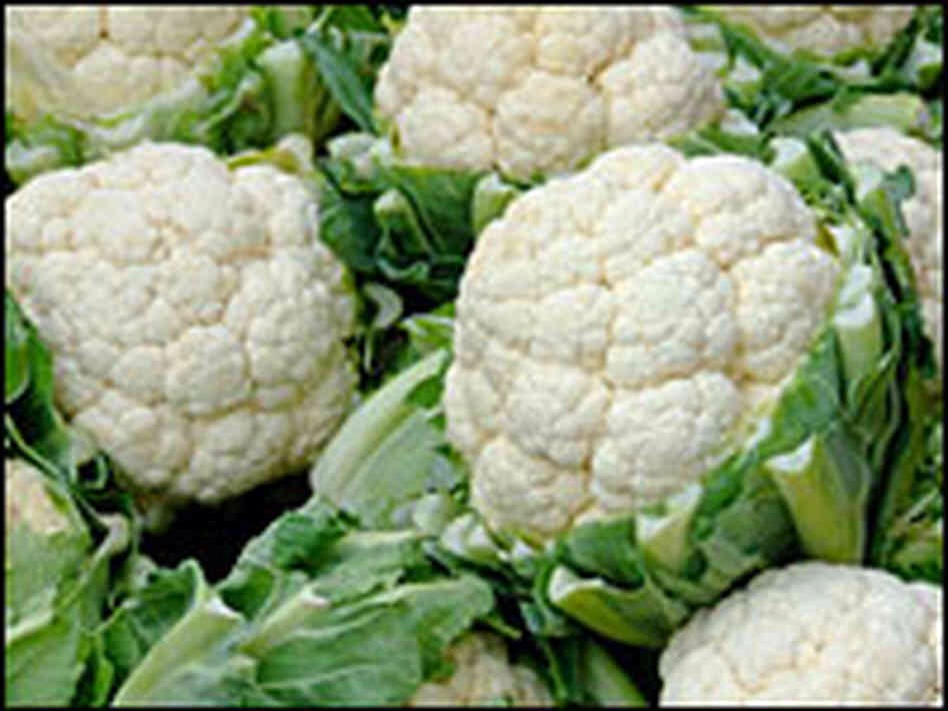 Cauliflower comes in bright green, purple and even orange. You might think these are some weird mutants, but actually it's the other way around. The colorful versions are closer to wild forms. The white cauliflower we're used to is a mutant albino.