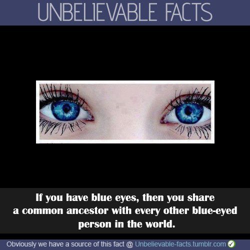 Here's a bonus fact😋
