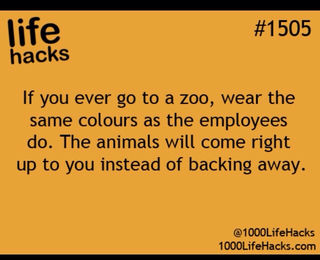 Random Tips(; 