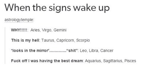 🔮✨ HOROSCOPE FUN ✨🔮