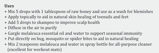 The 7 Most Powerful Essential Oils To Have In Your Home.