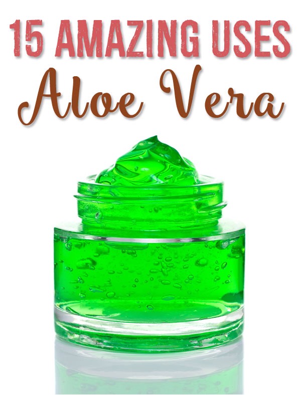 15 AMAZING USES FOR ALOE VERA