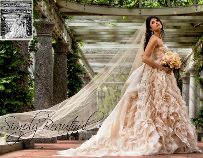 Amazing Wedding Dresses