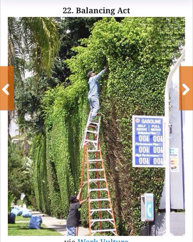 Photographic Pieces Of Evidence As To Why Women Live Longer Than Men 👽