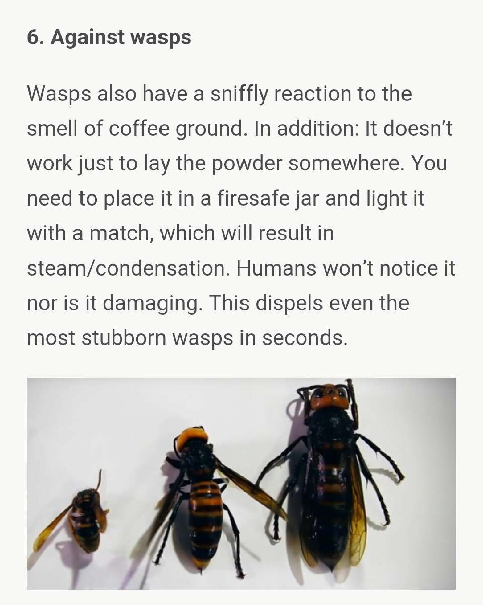 What she smears on her butt, everyone has at home – but nobody uses it!