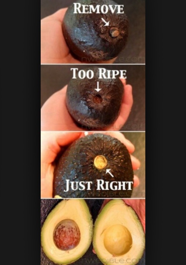 5 Kitchen Tips