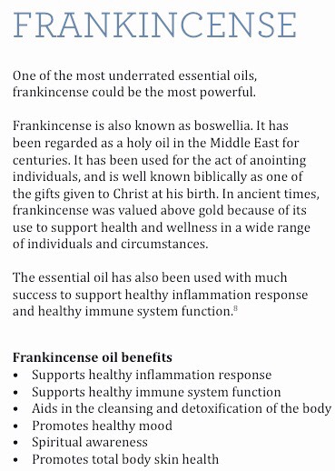The 7 Most Powerful Essential Oils To Have In Your Home.
