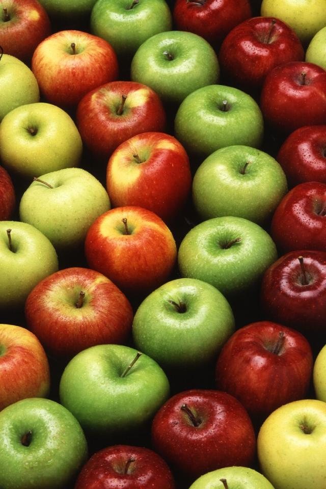 health problem. One apple a day keeps away Alzheimer’s, Parkinson’s, all sorts of cancer, keep health your heart and brain. Also, can help in losing weight, so it’s necessary to have it on your diet plan. Especially if you eat apple before your meal, will reduce your appetite and