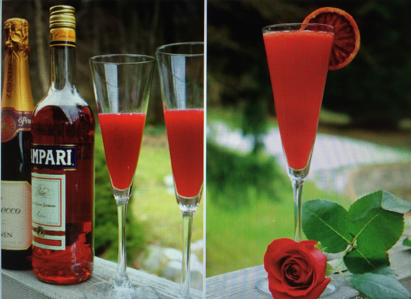 πΉπΉ Bubbly Blood Orange Campari Cocktail ππΈπΉ