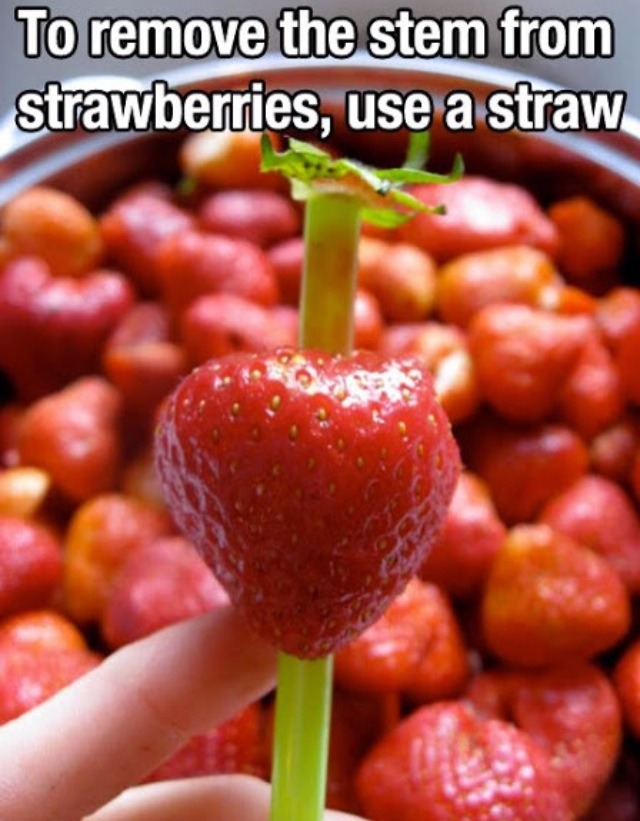 Great Life Tips