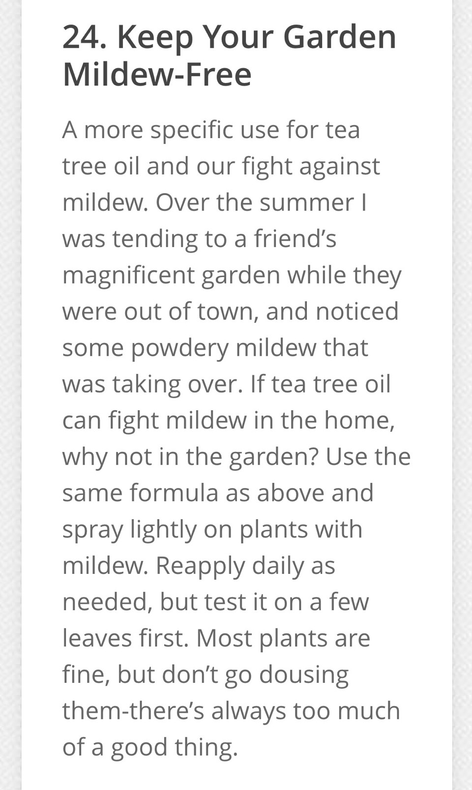25 Everyday Uses For Tea Tree Oil