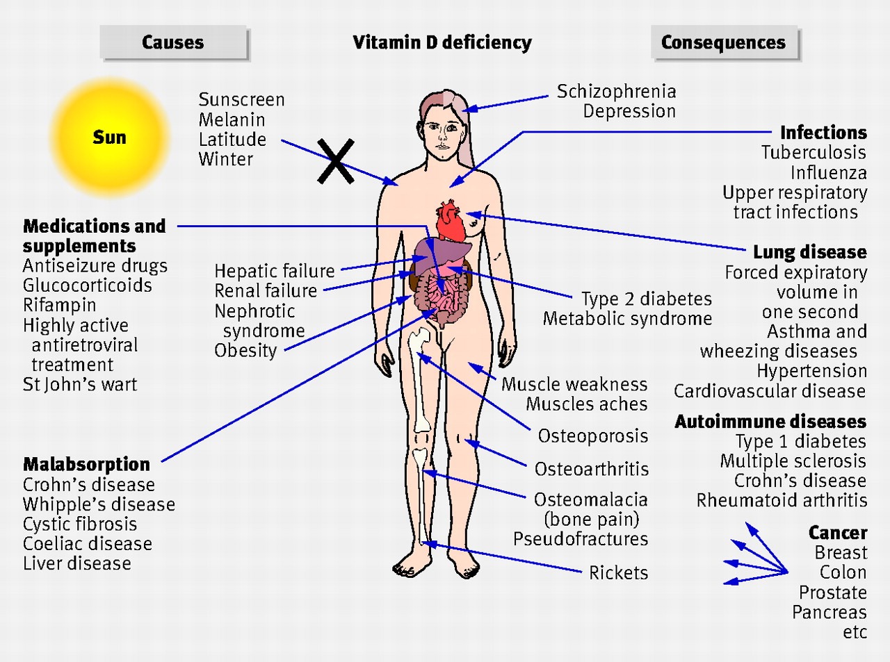 Vitamin D- slows skin aging and great for bones and teeth  