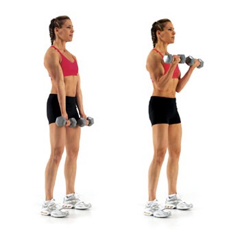 2. Followed by 24 bicep burners (8 full bicep burns, 8 curls halfway up, 8 full bicep curls)

~If you don't have any dumbbells use filled up water bottles instead, this is especially good for beginners! Although dumbbells are recommended for maximum effect.
