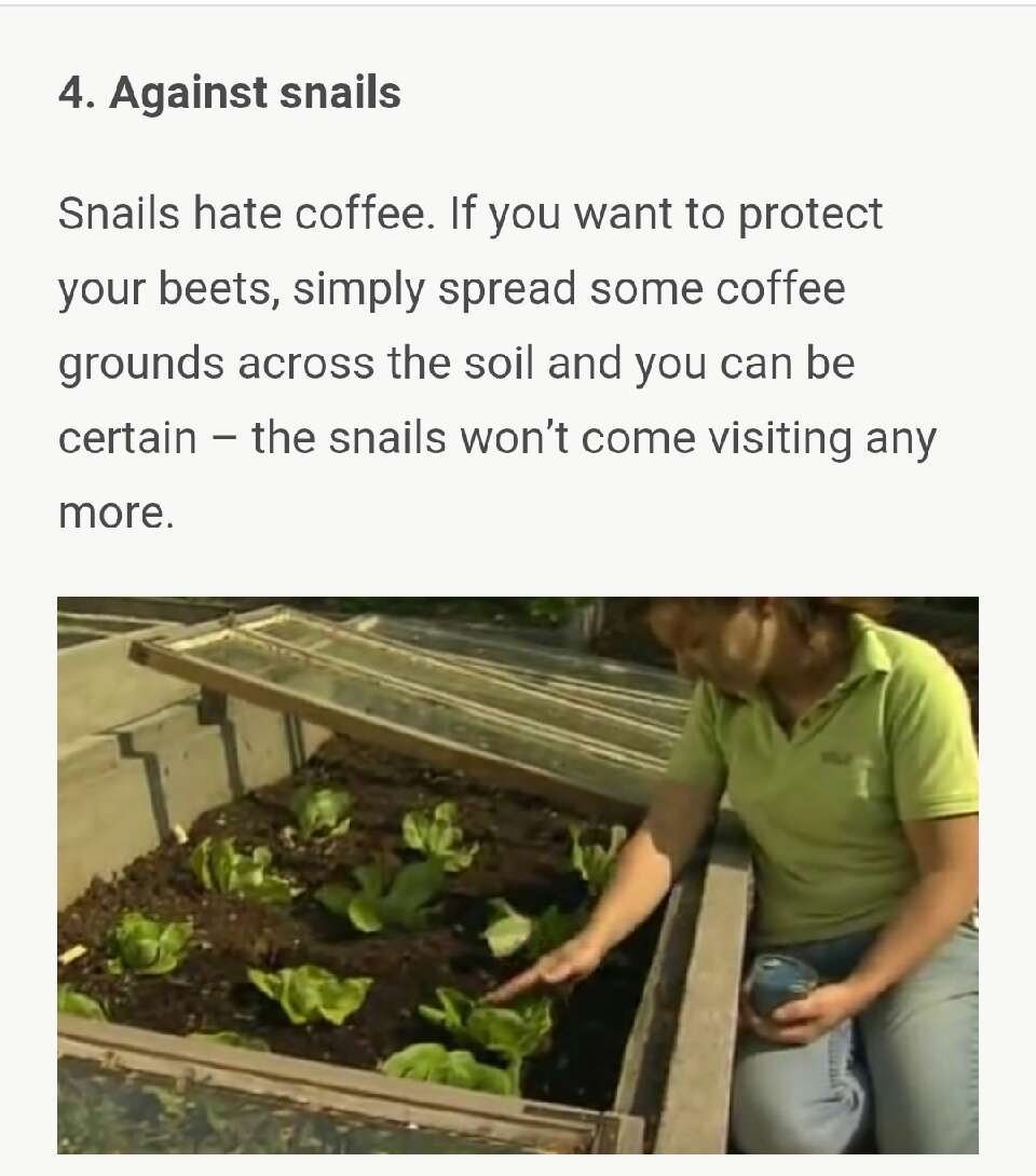 What she smears on her butt, everyone has at home – but nobody uses it!