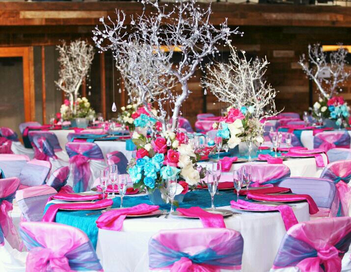 Quinceañera Guide