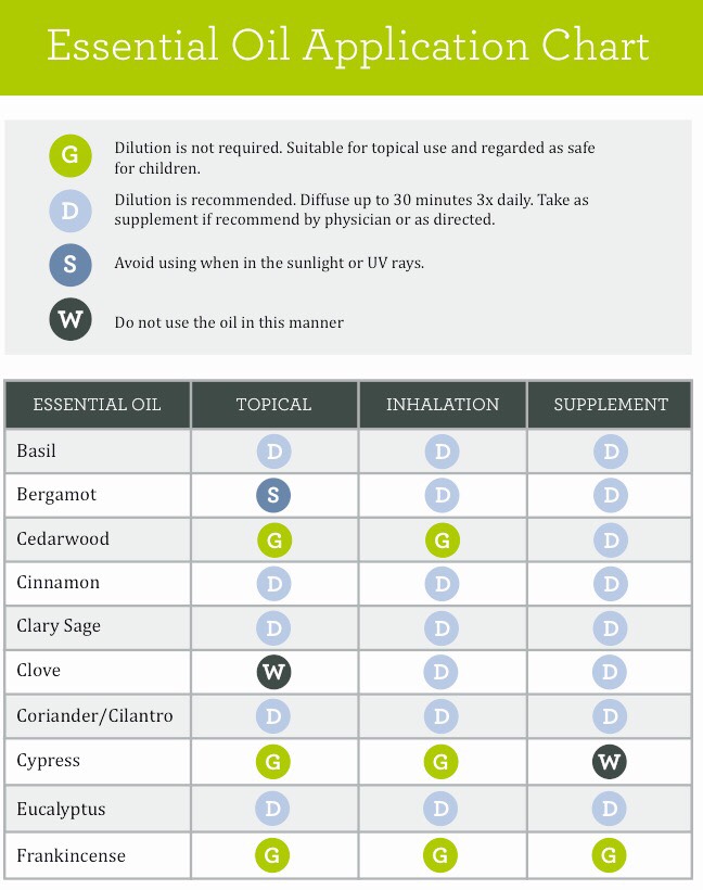 The 7 Most Powerful Essential Oils To Have In Your Home.