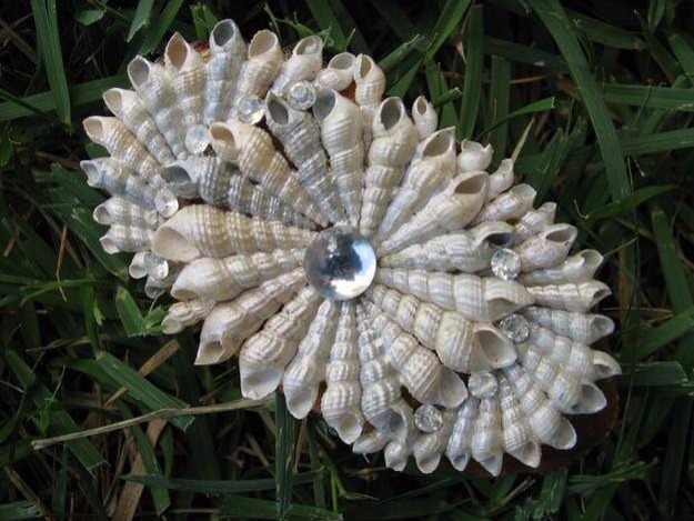 DIY: Seashells Inspiration!!  😀