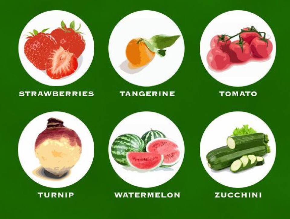 🎀 Negative Calorie Foods 🎀