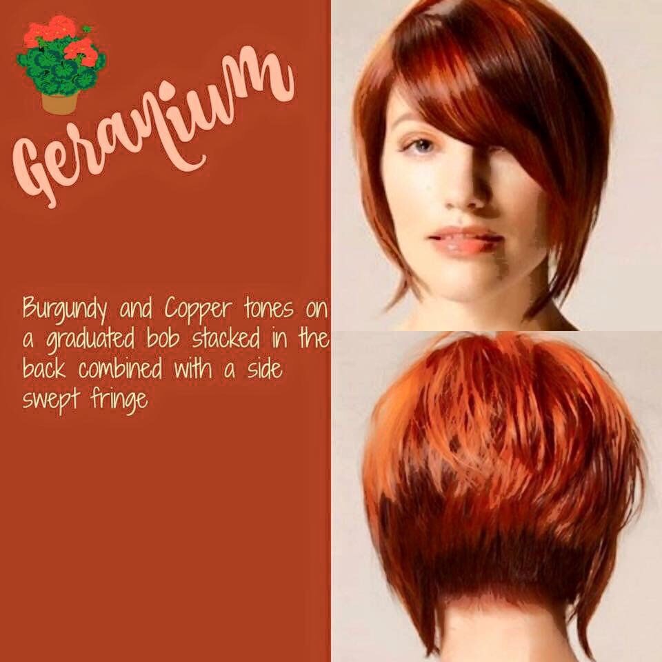 54 Hair Color Inspirations And How To Get Them! 