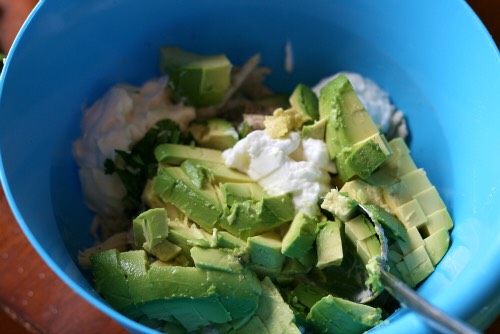 Healthy Avocado Chicken Salad
Ingredients
2 cups shredded chicken
1 avocado
1/2 tsp garlic powder
1/2 tsp salt
1/2 tsp pepper
2 tsp lime juice
1 tsp fresh cilantro
1/4 cup mayo
1/4 cup plain Greek Yogurt
